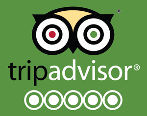 tripadvisor5stars